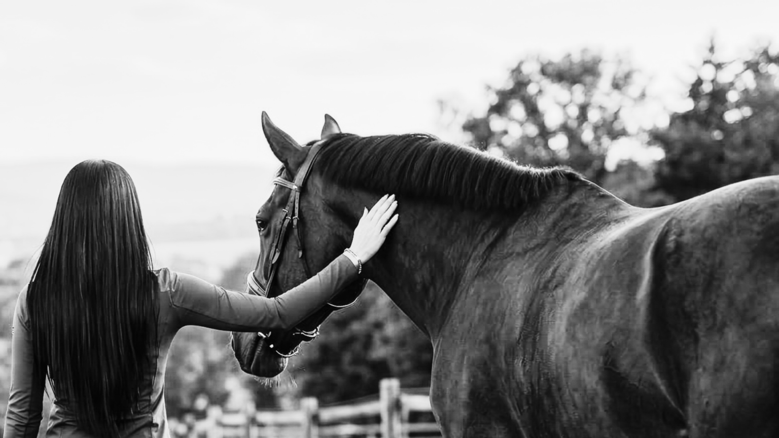 mindset profundo para mujeres de élite y círculo aristocrático